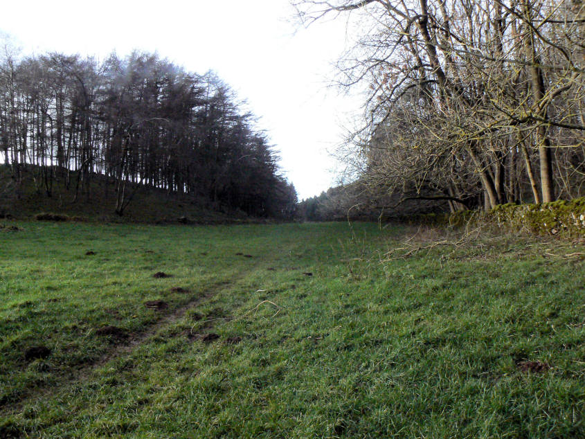 Boulderstone Plantation Boulderstone Plantation